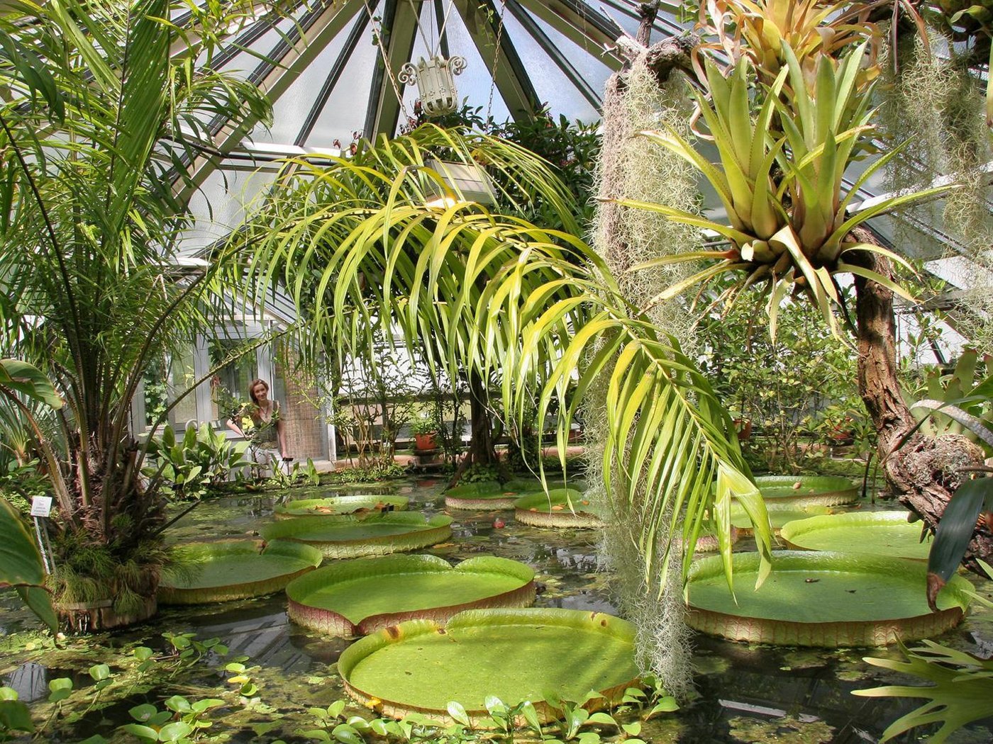 🌿 마틴 루터 대학교 할레-비텐베르크 식물원 (보타니셔 가르텐)